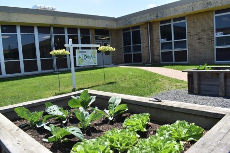 The Bernzomatic Garden is highlighted with plants grown through Environmental STEM classes. This highlights a school-wide effort to improve healthy eating through multiple programs.