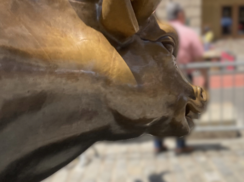 The Charging Bull sculpture, also known as the Bull of Wall Street. The bull is a sign of high stock market and a bear is a sign of low stock.