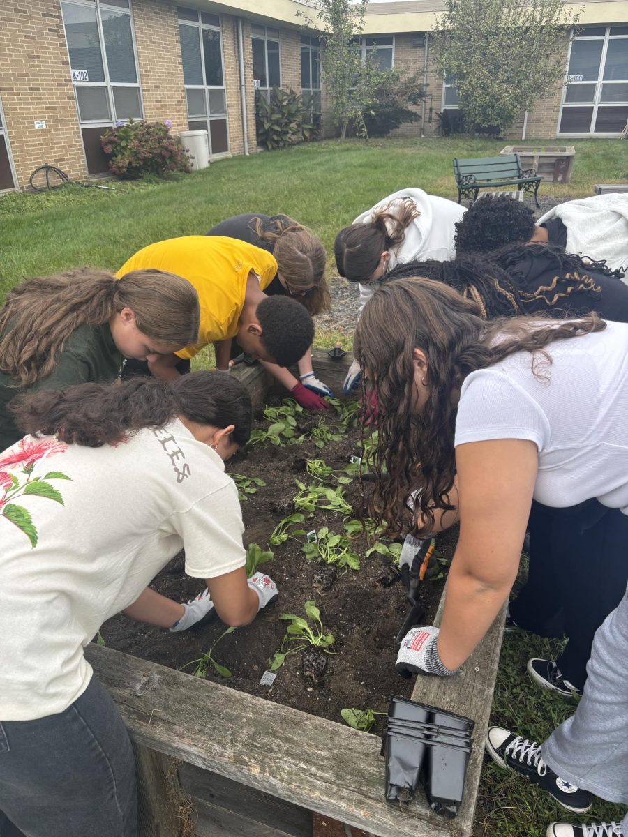 WTMS Courtyard Gets a New Look